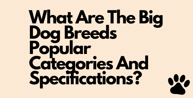 Big-Dog-Breeds-Popular-Categories