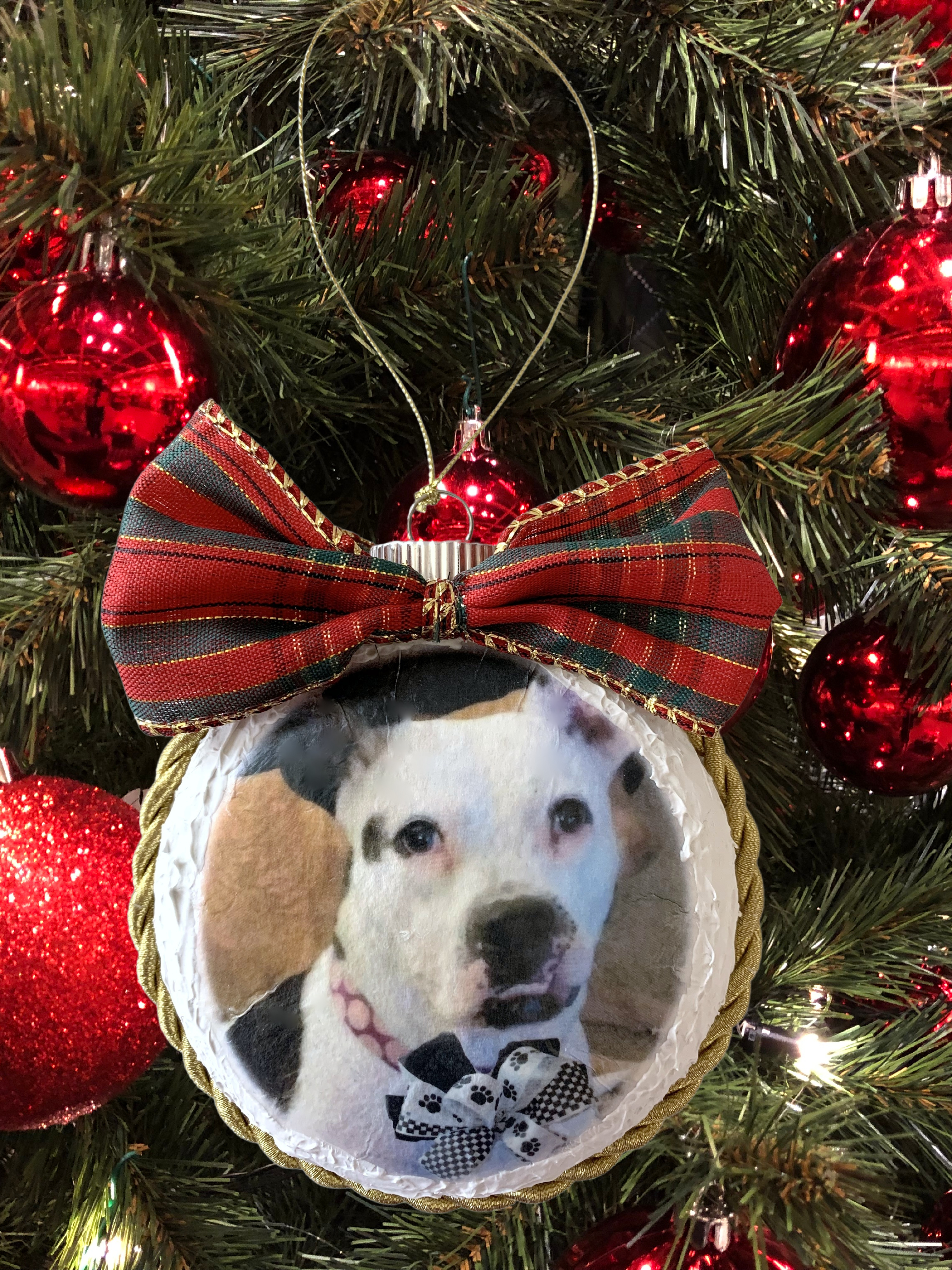 Purple Hues and Me: Pet Keepsake Christmas Ornament DIY
