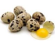 Kandungan dan Manfaat Telur Puyuh Untuk Ayam Aduan