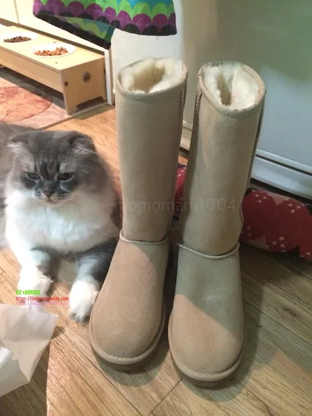 ugg boots tall sand, 어그부츠톨, 6pm 어그부츠 직구, 어그 클래식 톨, ugg classic tall, ugg tall