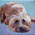 Labradoodle, Contemporary Pet Portraits by Arizona Artist Amy Whitehouse