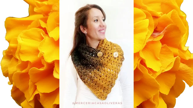 Hermoso Tutorial de Bufanda para Principiantes a Crochet