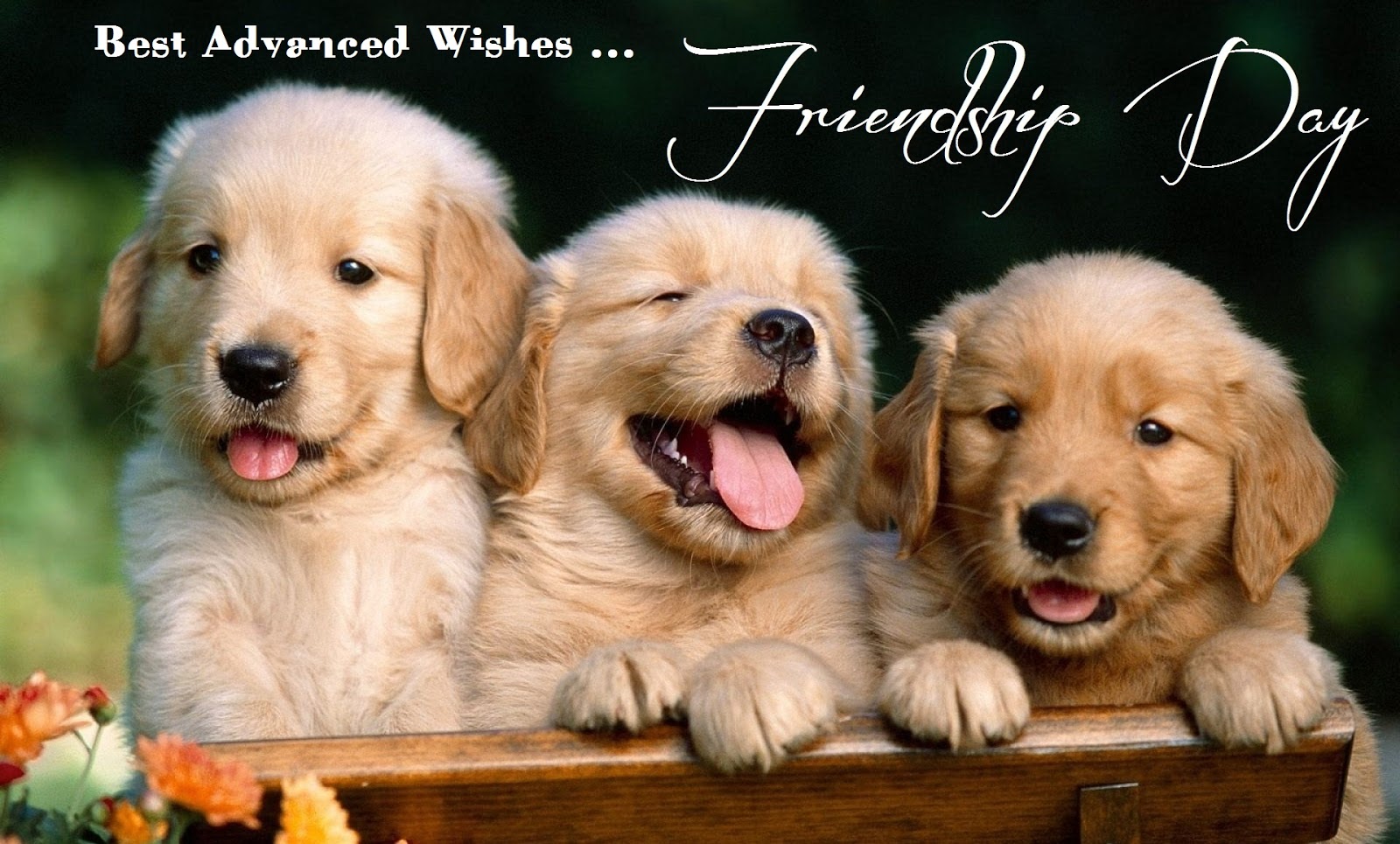 ... quotes for best friends friendship wallpaper 2014 friendship wallpaper