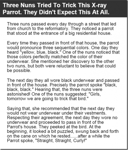 x-ray parrot