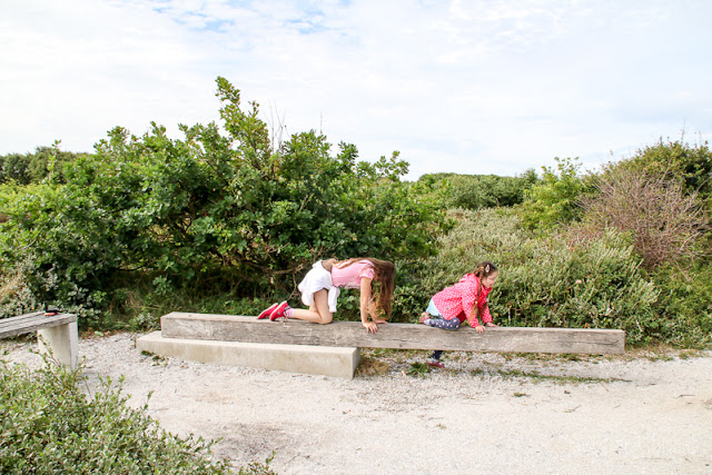 Dünenwanderung Ecomare auf Texel