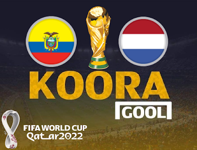 مشاهد مباراة هولندا والإكوادور كورة جول اليوم 25-11-2022 في كأس العالم