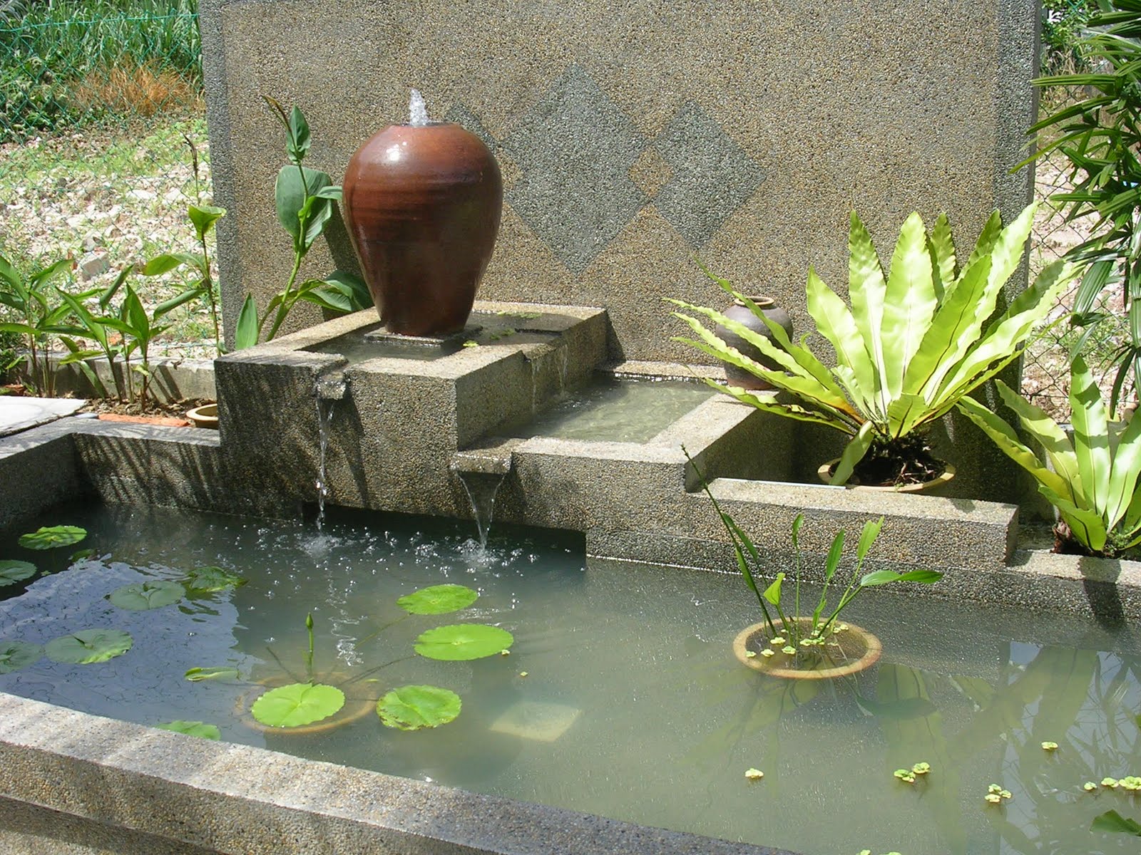 SusurDenai BINALAH KOLAM IKAN HIASAN  DENGAN BELANJA YANG 