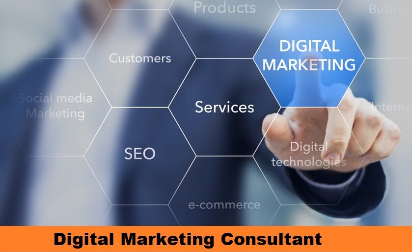 Digital Marketing Consultant Delaware