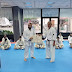 INSTRUCTOR AREA INTERNATIONAL KYOKUSHIN KAIKAN IKO WORLD SO KYOKUSHIN HELLAS GREECE, SENSEI NIKOLAOS MERKOURIS                                                                                                                                                                                                                                                                                                                                                                                                                                                                                                                                                                                                                                                                                                                                                                                                                                                                                                                                                                                                                                                                                                                                                                                                                                                                                                                                                                                                                                                                                                                                                                                                                                                                                                                                                                                                                                                                                                                                                                                                                                                                                                                                                                                                                                                                                                                                                                                                                                                                                                                                                                                                                                                                                                                                                                                                                                                                                                                                                                                                                                                                                                                                                                                                                                                                                                                                                                                                                                                                                                                                                                                                                                                                                
