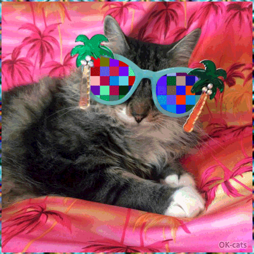 Art Cat GIF • Super cool cat wearing psychedelic summer sunglasses with coconut trees [ok-cats.com]