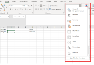 Number Formats in Excel