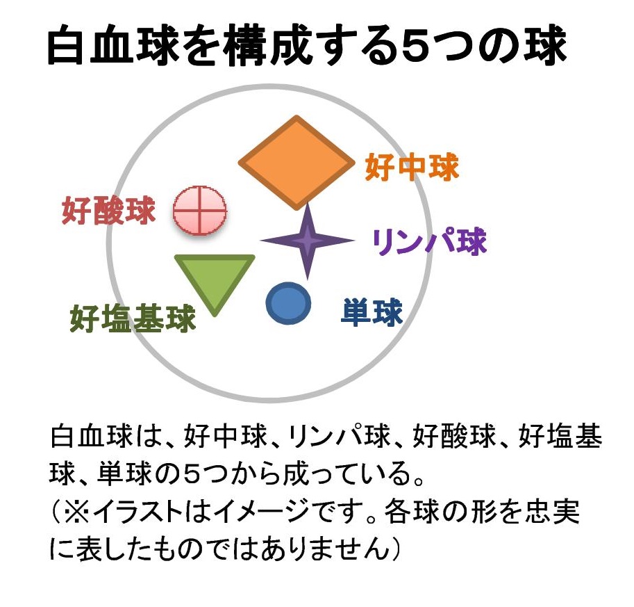 関東全域の子どもたちに血液検査を 三田医師に聞く Clapton481のブログ