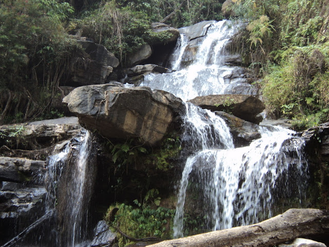 Two-Day Trek at Doi Pha Ngam, trek at doi phan gam, trekking at doi phan gam, 2 days trek at doi phan gam, chiang mai trekking, trekking in chiang mai