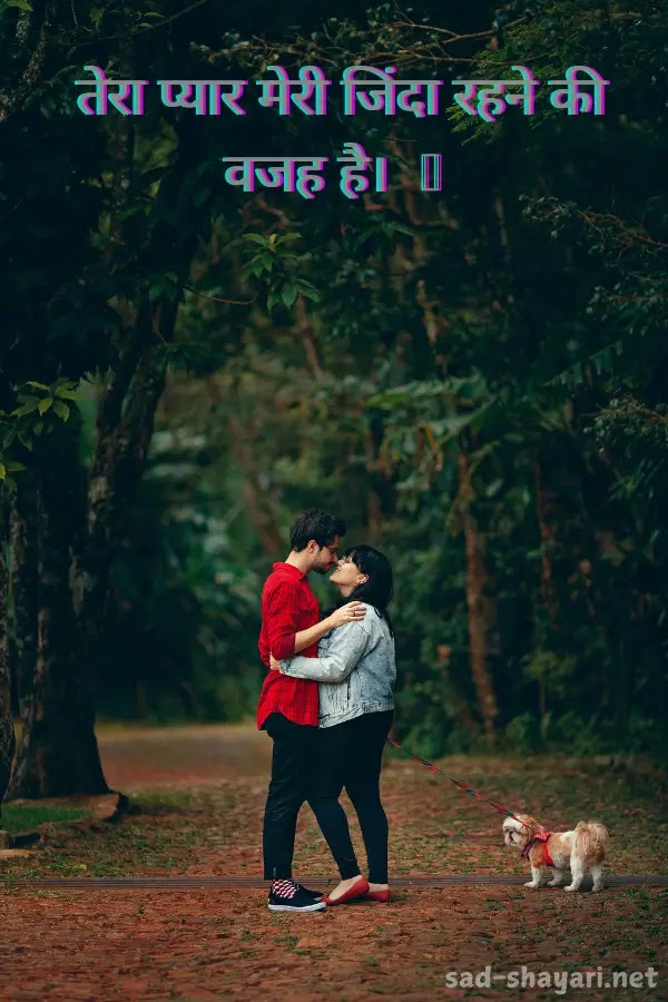 Best Hindi love poetry 2025 for sharing with someone special 💑💕