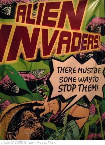 'Alien Invaders' photo (c) 2008, Shawn Rossi - license: http://creativecommons.org/licenses/by/2.0/