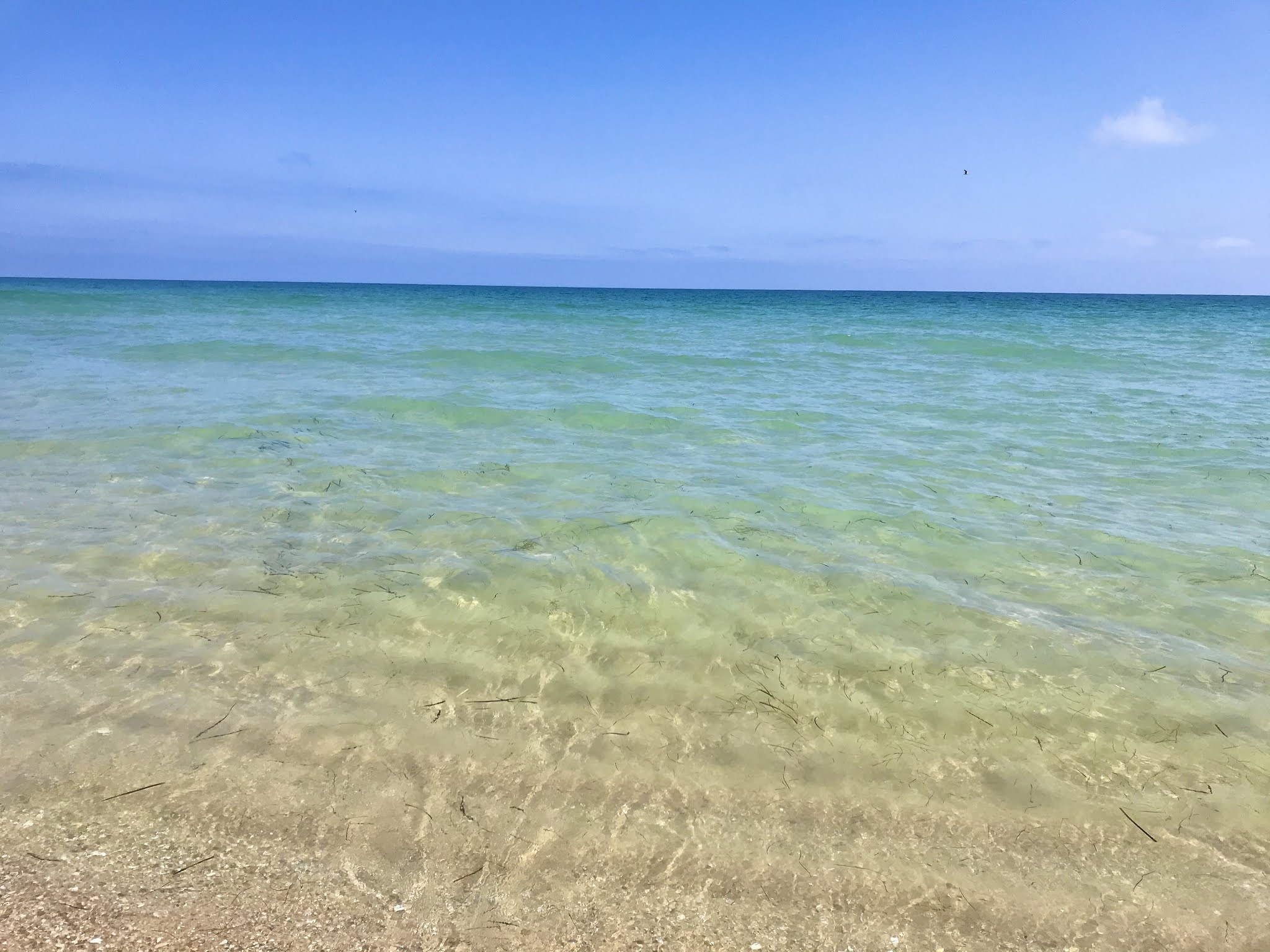 Ilha do Farol, Ilha da Culatra, Algarve, Portugal