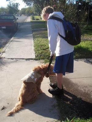 Ben bends over to give Dakota a pat as they begin a walk