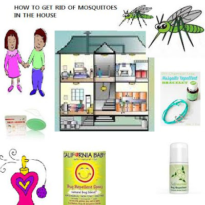 Effective Ways to Get Rid of Mosquitoes inside the House