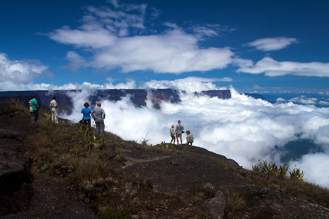Mount Roraima, “Jurassic Park Forest” in South America