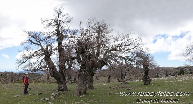 Colada del Tejo - Cerro Estepilar - Cerro del Pilar - Cerro de los Valientes - Picaho de Fatalandar