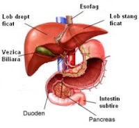 https://terapieinarmonie.blogspot.com/2018/08/cancerul-de-ficat-dintr-o-perspectiva.html