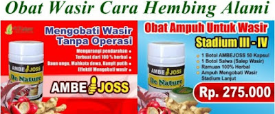 Obat Herbal Wasir