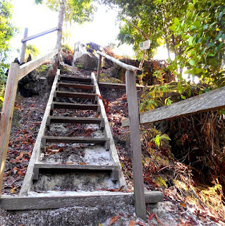 Tangga kayu menjelang tiba di puncak batu dinding Borneo