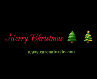 Merry Christmas from carenaturele.com