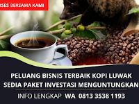 Peluang Bisnis Kopi Luwak Terbaik Terpercaya | Cara Sukses Investasi Modal Kecil | WA 0813 3538 1193