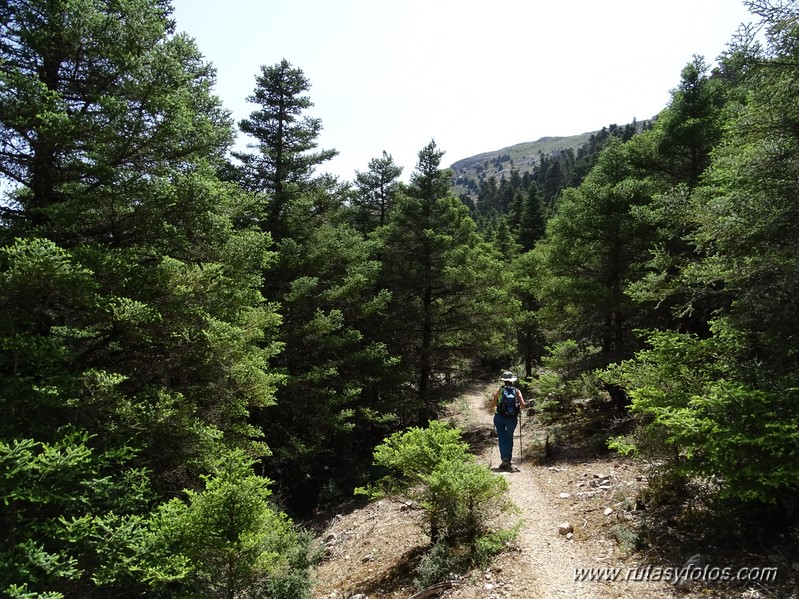 Quejigales-Tajo del Canalizo-Enamorados-Cerro Alto