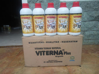 www.viternaplus.online