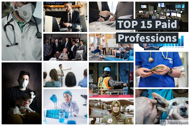 Top 15 Paying Professions for Students