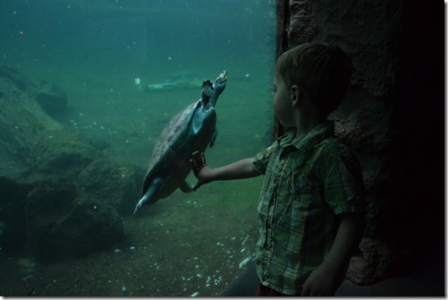2010-11-24 Myron at Lowery Park Zoo 109