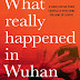 What Really Happened In Wuhan– PDF – EBook 