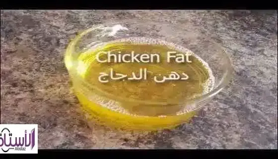 Fat-chicken