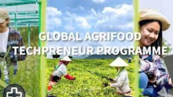 IntelliDigest Global Agrifood Techpreneur Programme for Entrepreneurs Worldwide in 2023