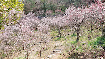 一須賀古墳群(南河内郡河南町)