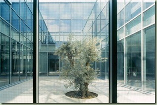 parisbuilding4