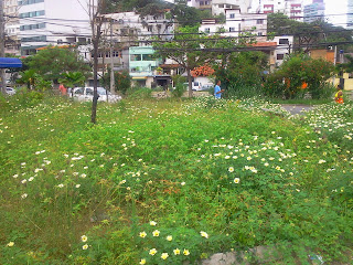 Uma vergonha o estado de abandono dessa praça 