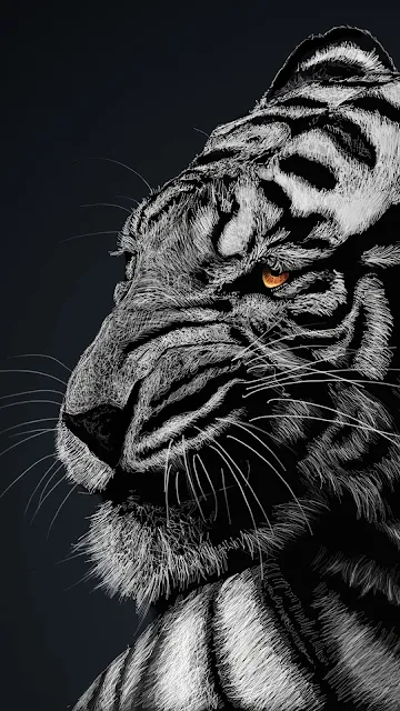 White Tiger Art Wallpaper