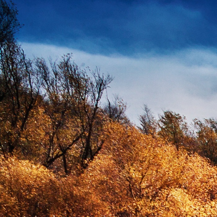 _N5F3579_crop_sx_su
