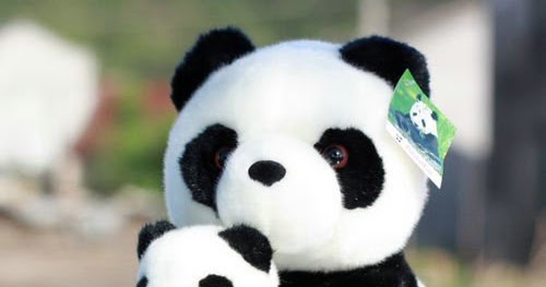  Gambar  Boneka Panda Gambar  pemandangan indah Indonesia