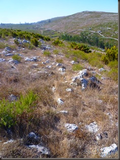 P1170348