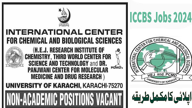 ICCBS University Of Karachi Jobs 2024