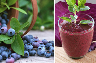 Antioxidant Berry Juice