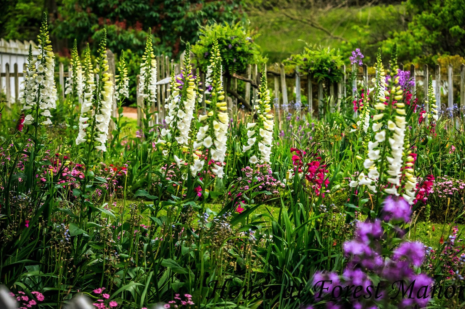 House at Forest Manor: Friday Flowers