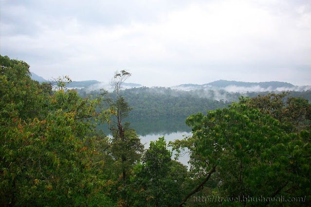 Vazhachal Forest Route