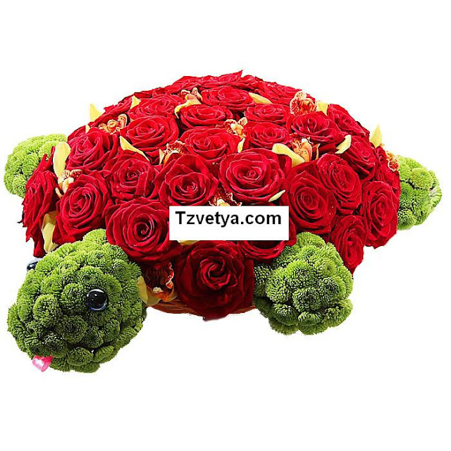 Tortuga floral. Mascotas florales.