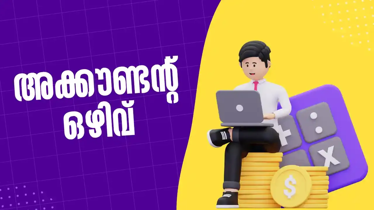 Accountant Job Vacancy