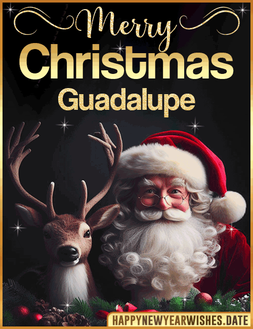 Merry Christmas gif Guadalupe
